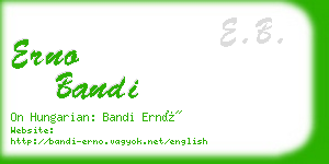 erno bandi business card